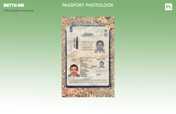 Модерен стил бразилски пасош сегашен шаблон за фото изглед